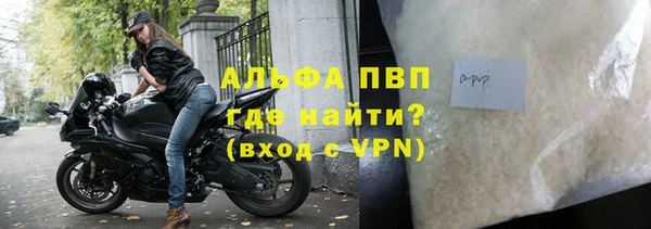 мескалин Богданович