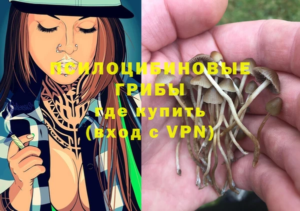 мескалин Богданович
