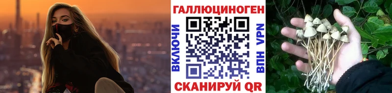 сколько стоит Тольятти ссылка на мегу tor Псилоцибиновые грибы мухоморы