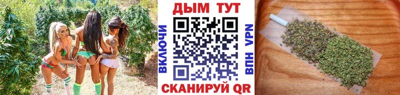 Шишки марихуана OG Kush дарнет шоп Тольятти